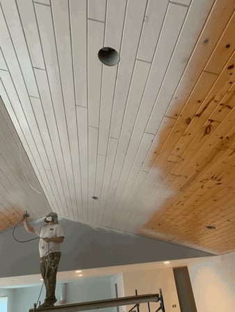 Images Nex-Gen Painting Inc