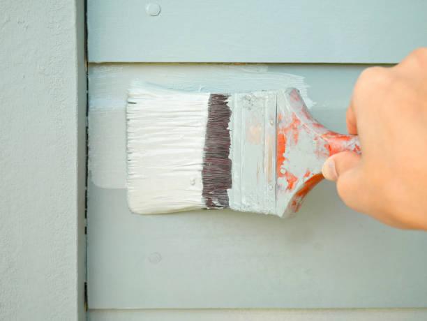Images Rafael`s Painting & Maintenance