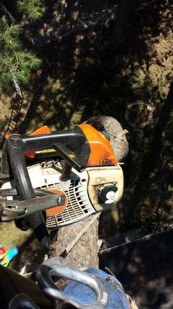 Images TNT Tree Service