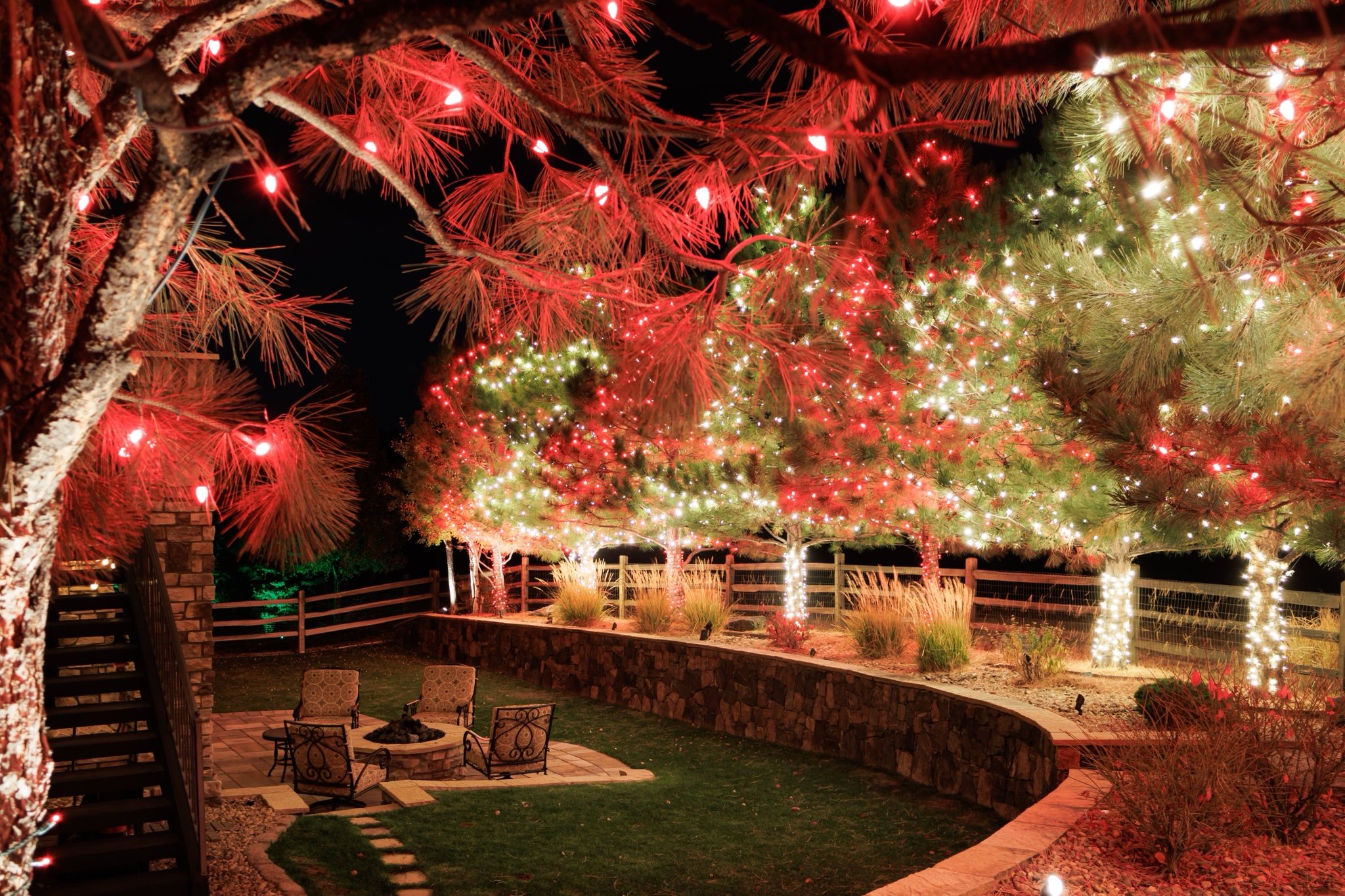 Overhead canopy lighting over a fire pit terrace, with wrapped trunks carrying the light down to gro 