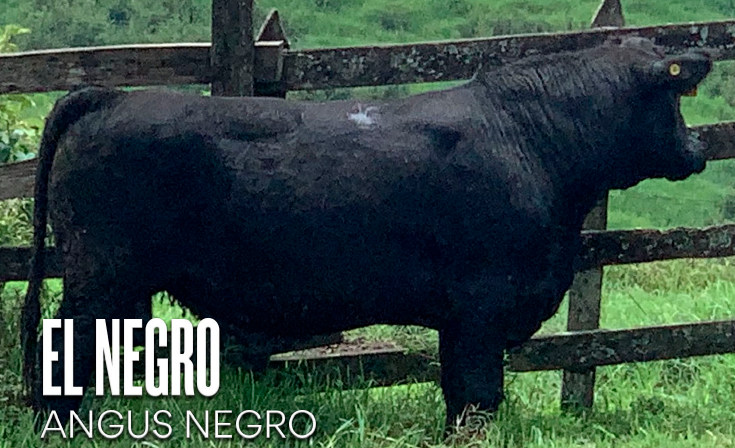 Images Rancho La Marina