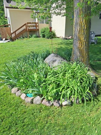 Images Abel Lawn and Landscape