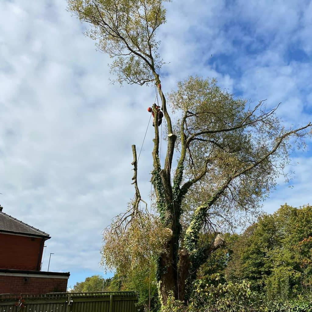 Moorland Treescapes Stoke-On-Trent 01782 504377