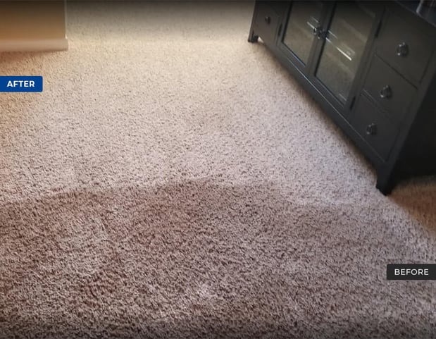 Images Pacific Coast Carpet Cleaning