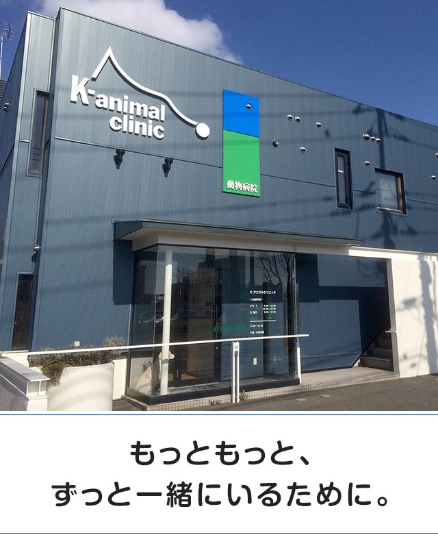 Images K-アニマルクリニック