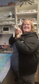 Images VCA Peone Pines Animal Hospital