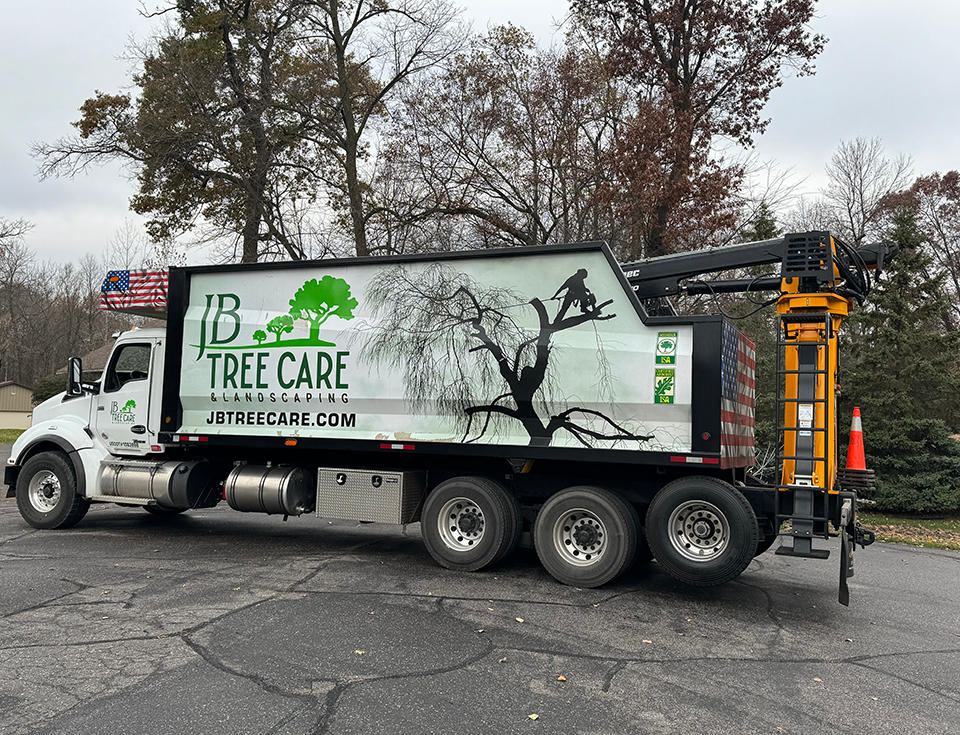 Whether you need one tree removed or an entire lot cleared , call the tree removal experts at JB Tree Care & Landscaping. Every customer’s tree removal needs are unique, so after our initial consultation, we’ll work with you to develop the best tree removal plan for your situation.