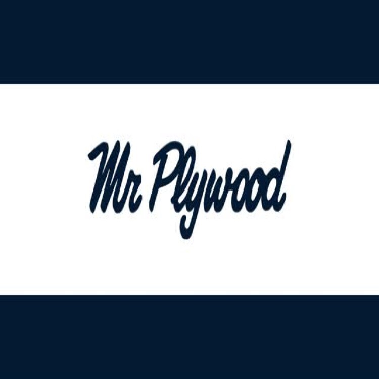 Mr Plywood