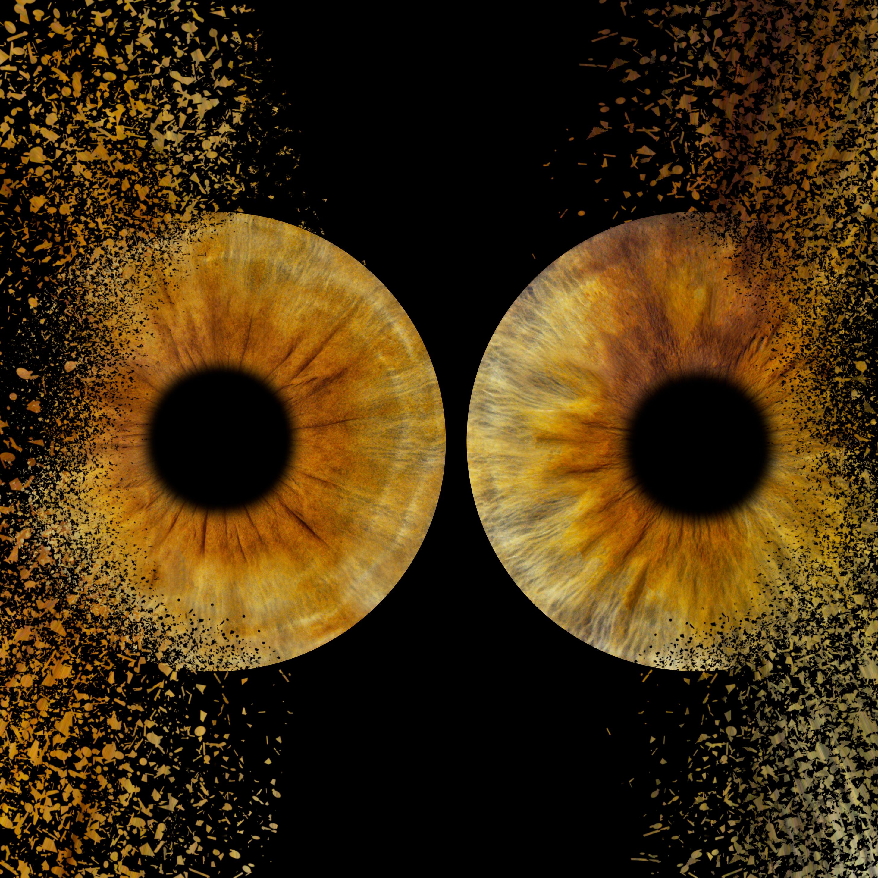 Bilder You & Eye Photo Montreux