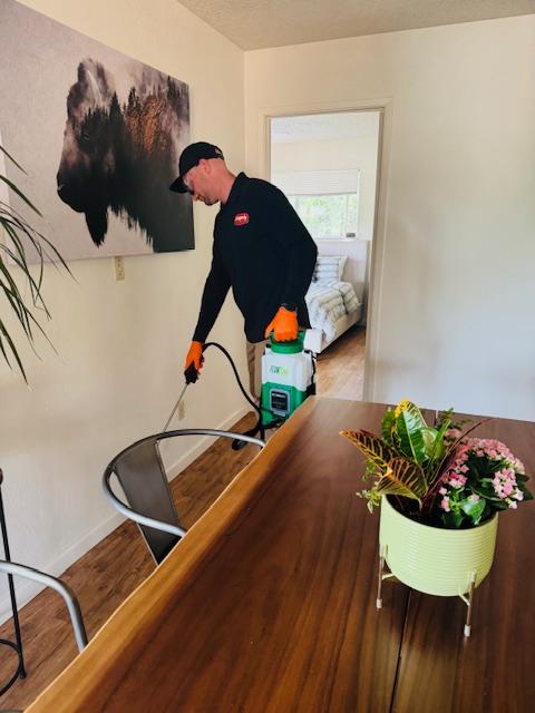 Images Gingerly Pest Control