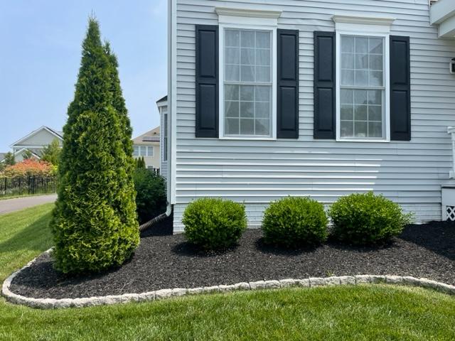 Let our staff at D’Imperio Brothers Landscaping, Inc. protect your investment and conduct the necessary repairs.