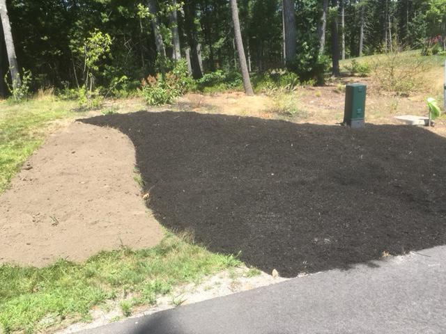 This is the after to the "Jungle-y" looking "before" picture in the gallery - client wanted us to rip up all of the weeds and mulch over that spot.
