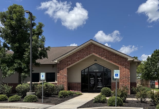 Images VCA Spring Branch Animal Hospital