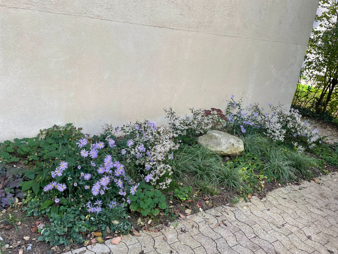 Bilder AZ Garten+Haus Service GmbH