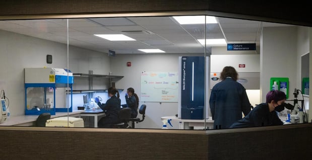 Images Quantus, Inc