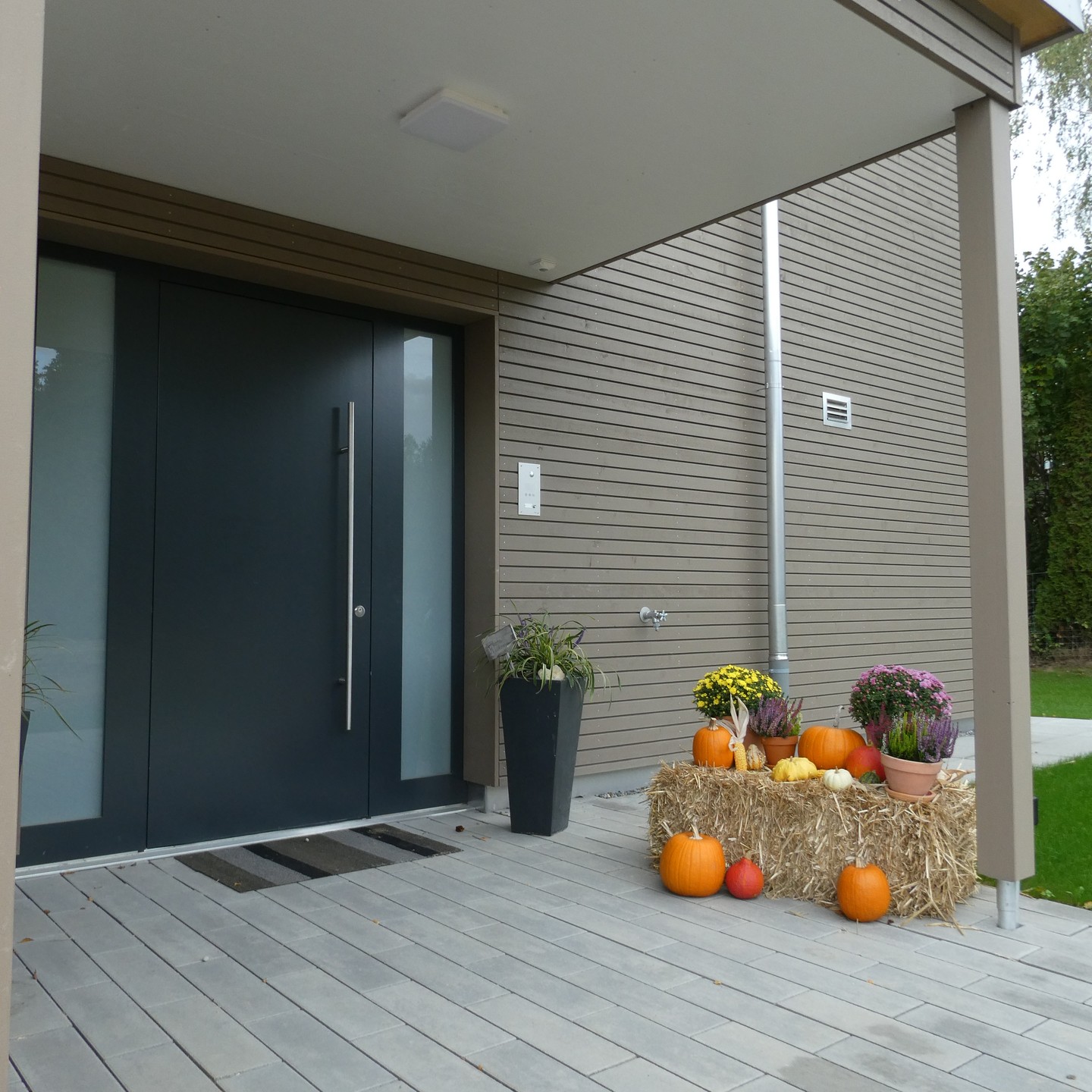 Bilder Saxer Holzbau Weiningen GmbH