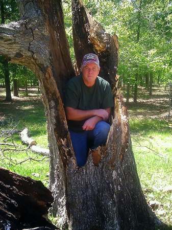 Images TNT Tree Service