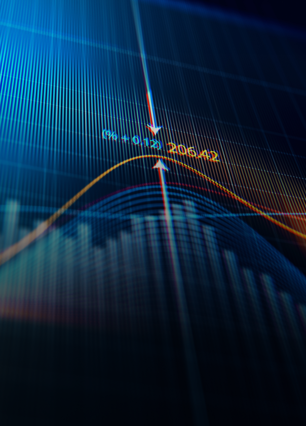 A colourful line and bar graph showcasing an asset's value over time.