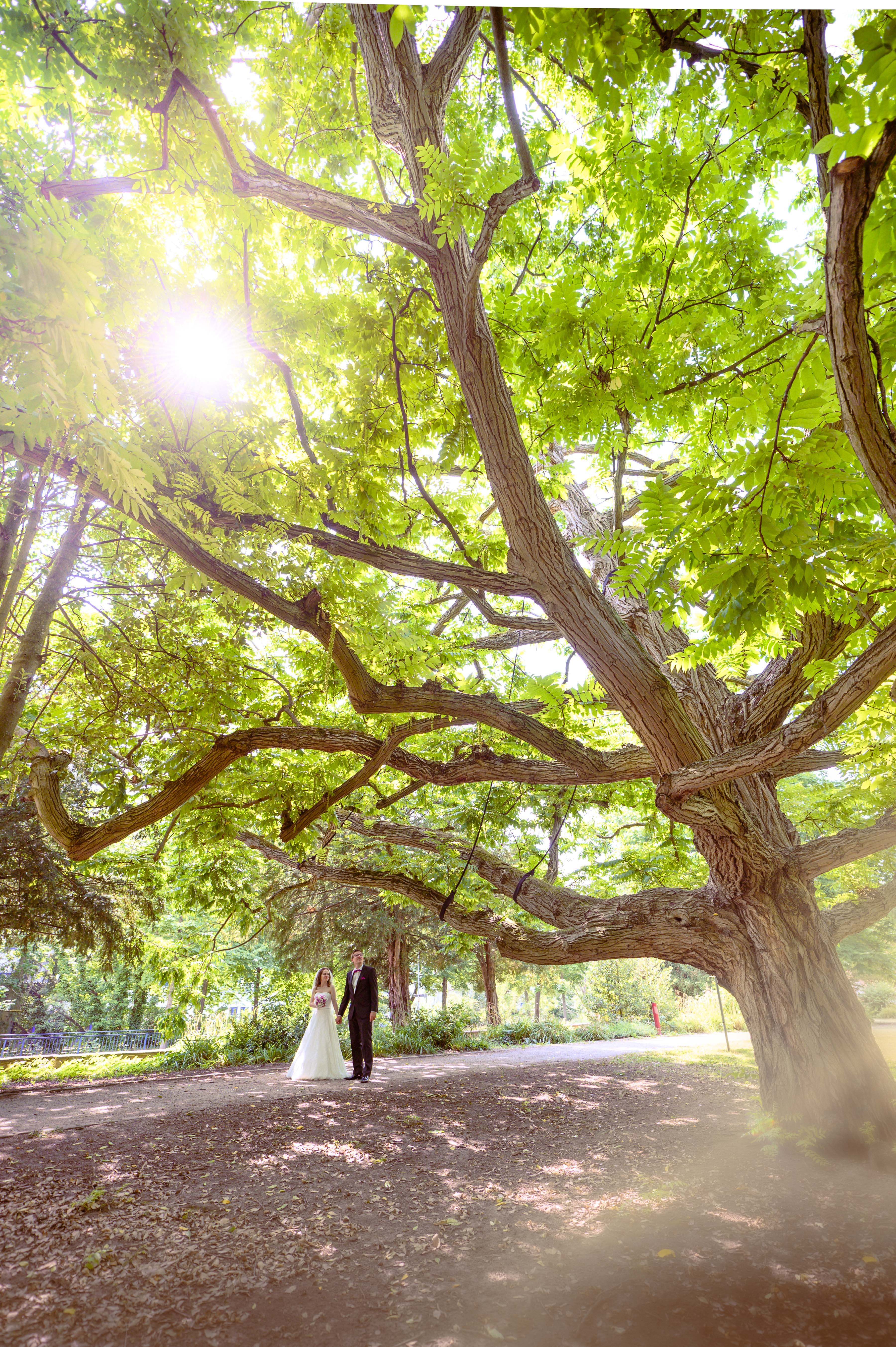 Maiorama Fotografie, Dr.-Wohnlich-Straße 20 in Weingarten (Baden)