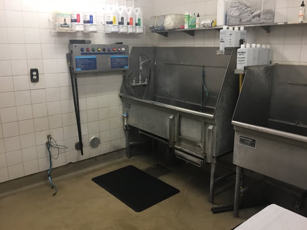 Images Petco Grooming