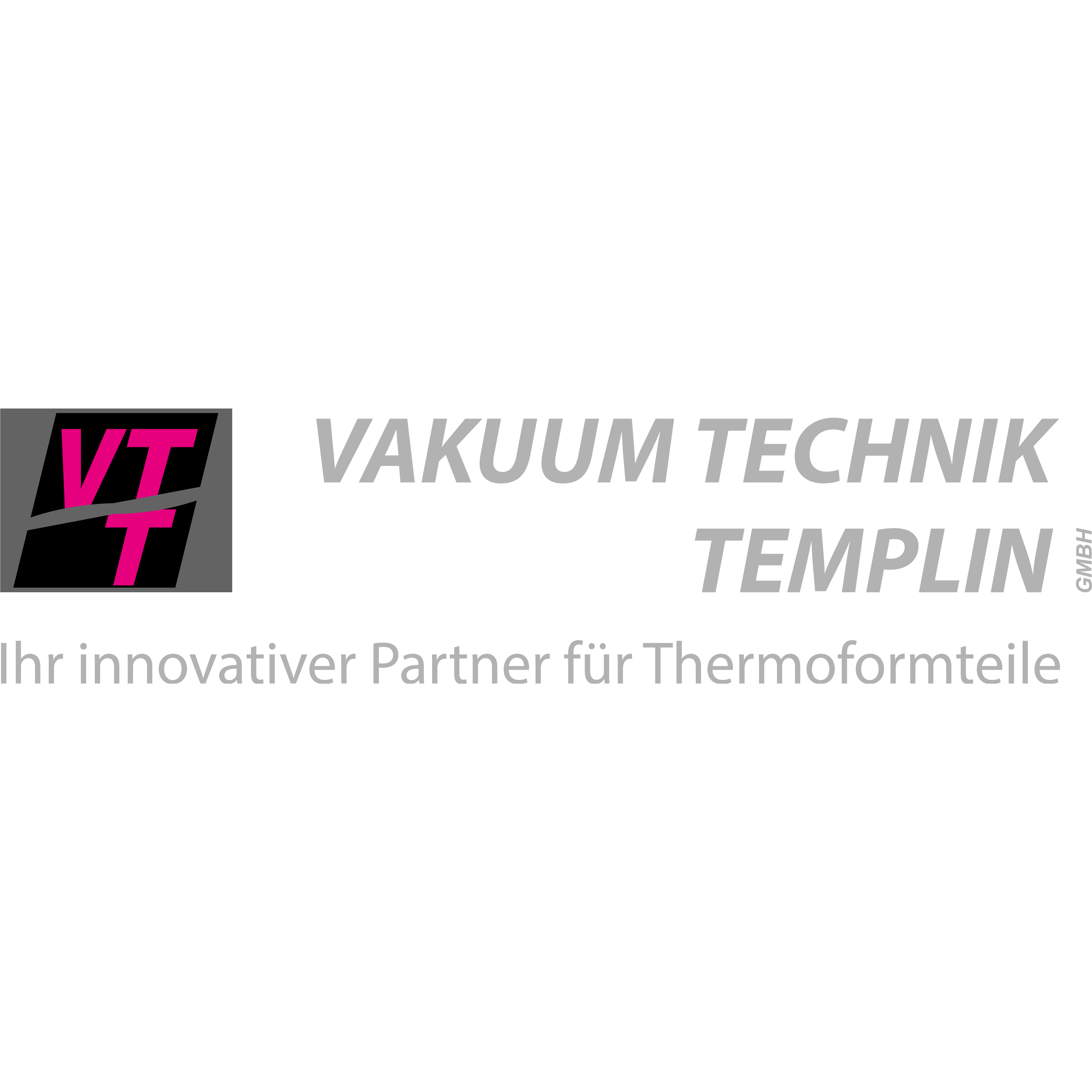 Logo Vakuum-Technik Templin GmbH