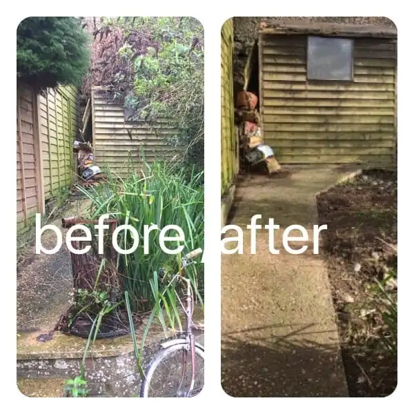 Images Prostyle Gardening & Home Services