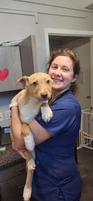 Images VCA Peone Pines Animal Hospital
