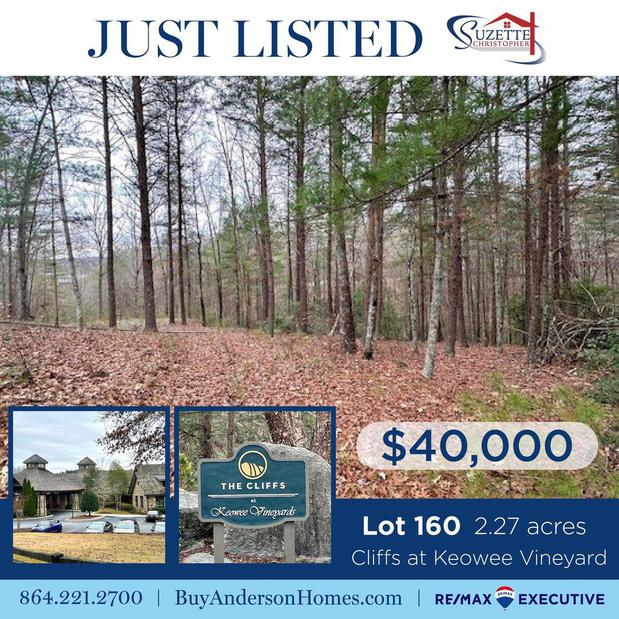 Images Suzette Christopher & Associates with ReMax Executives