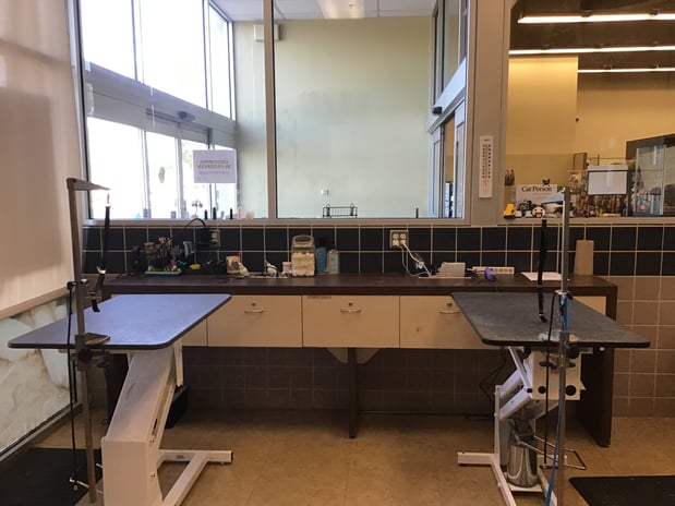 Images Petco Grooming