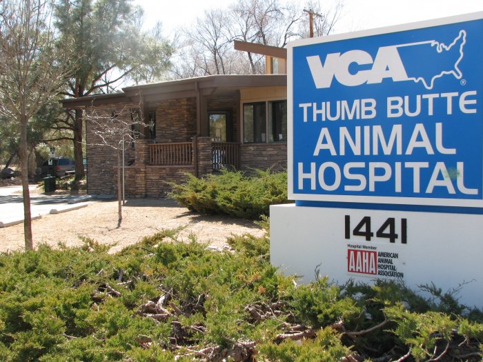 Image 3 | VCA Thumb Butte Animal Hospital