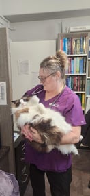 Images VCA Peone Pines Animal Hospital