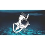 NSB Shark Hunters Logo