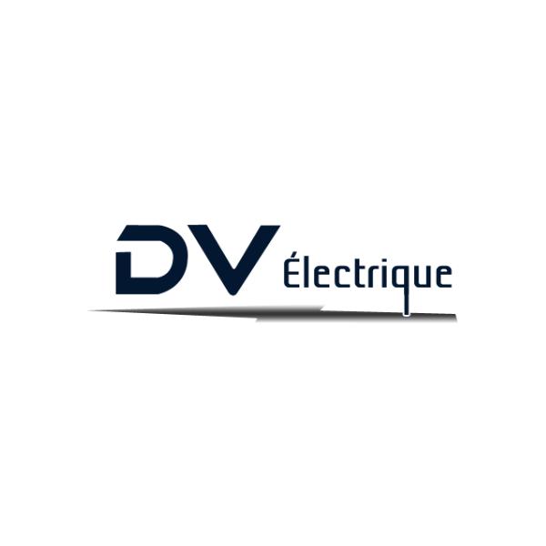 Dominique Vincent Electrique Logo