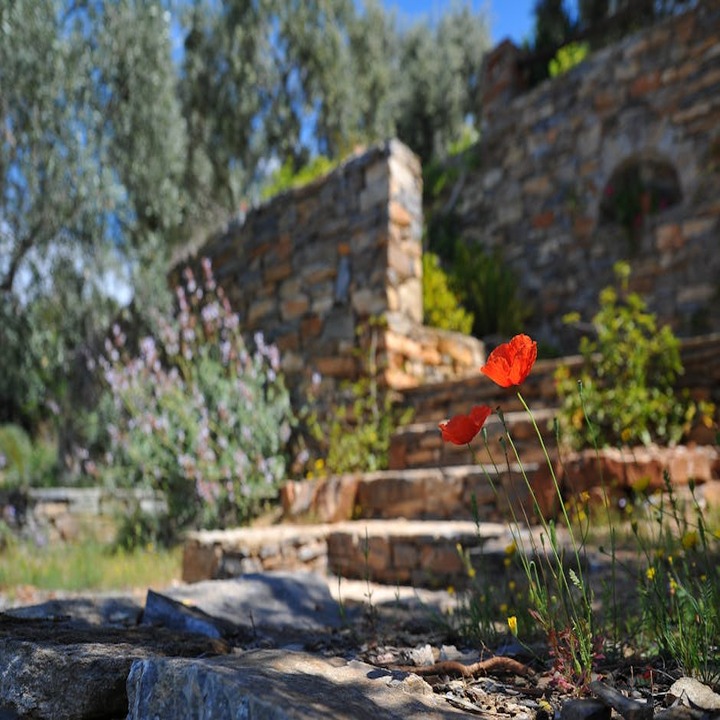Images M R O Lawn and Landscaping