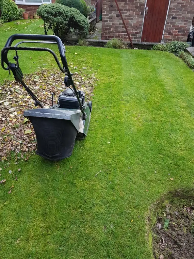 Images P Raitt Garden Maintenance