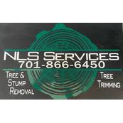 NLS Services Logo