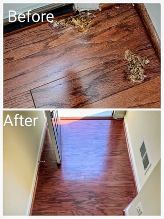 Images Floor Coverings International of Bowie, MD