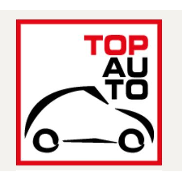 Top Auto Citroen Logo