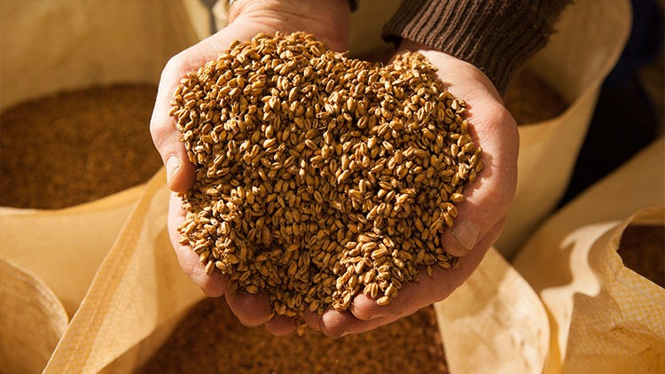 Images Refsvindinge Bryggeri & Malteri ApS