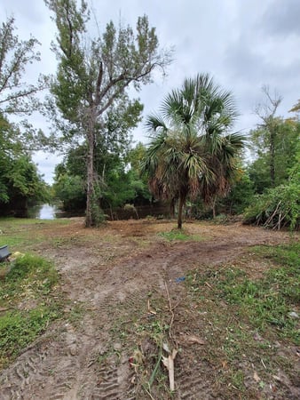 Images Clearview Forestry Mulching