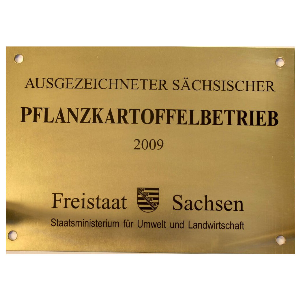 Bild 9 Stempel Uhlmann in Dresden