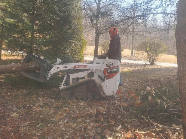 Images Bobby's Tree Service, Inc