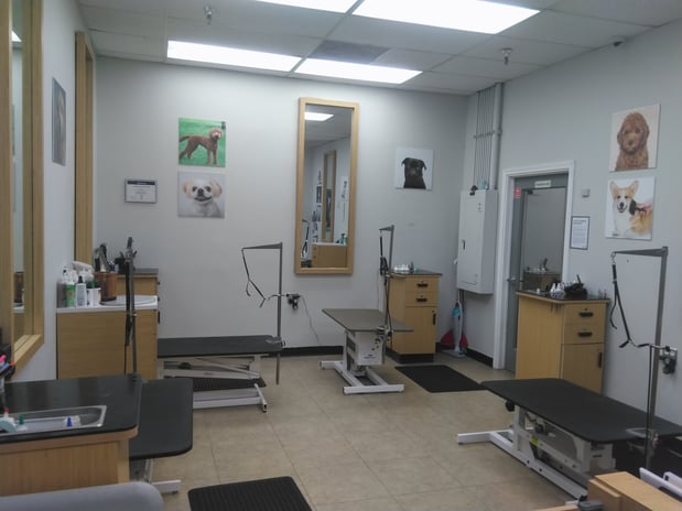 Images Petco