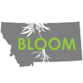 Bloom Montana