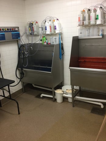 Images Petco Grooming