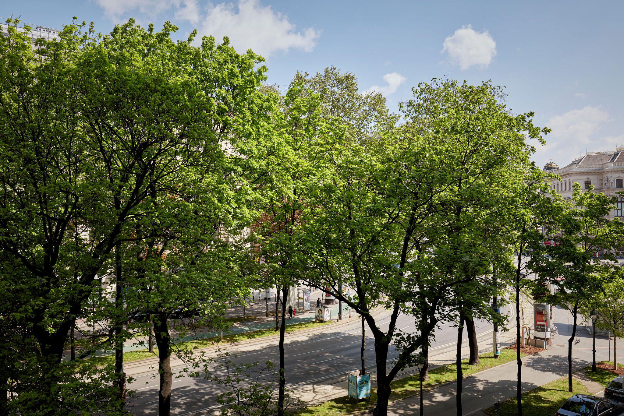 Hotel Imperial, a Luxury Collection Hotel, Vienna, Kaerntner Ring 16 in Vienna