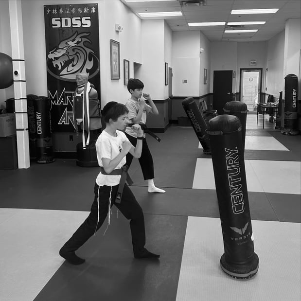 Images SDSS Martial Arts of Newton