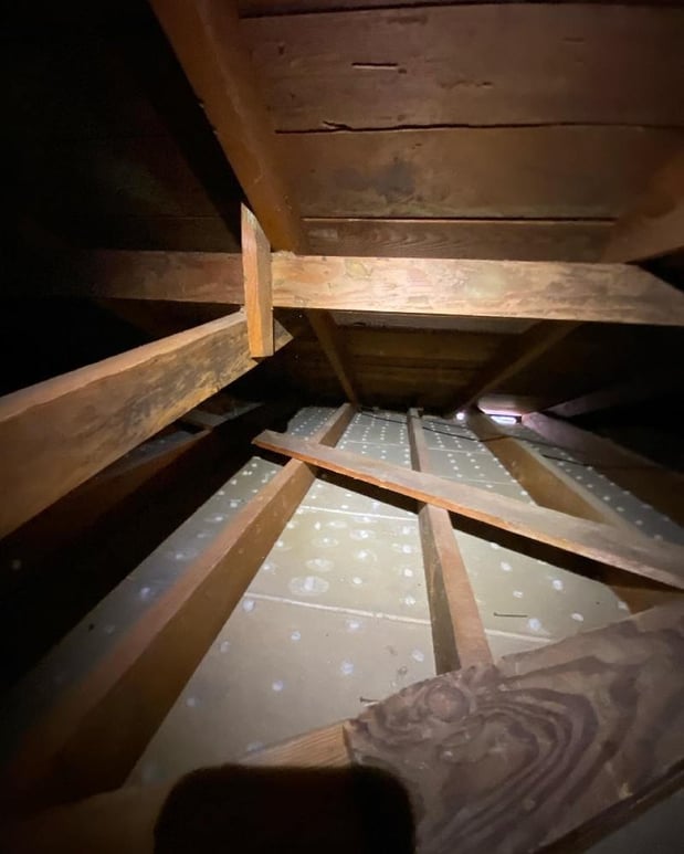 Images Attic Professional