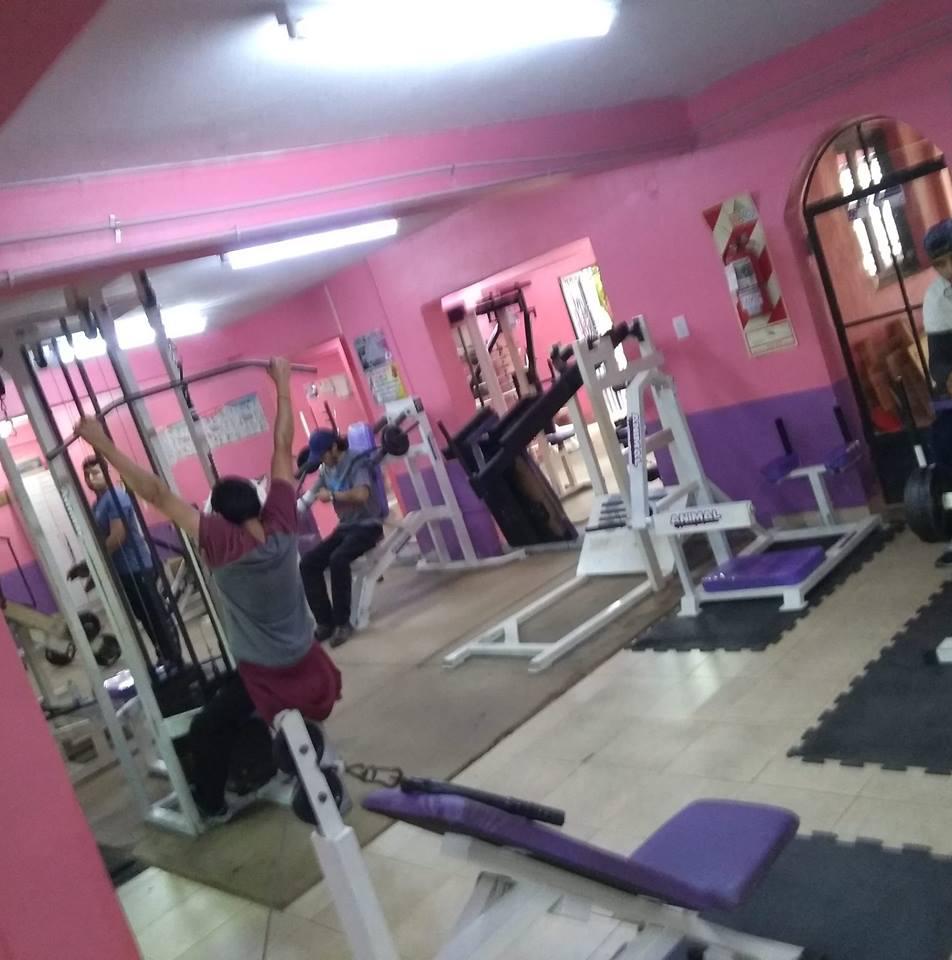 Gimnasio Nenina Gimnasios Y Centros De Musculacion En Salta Direccion Horarios Opiniones Tel Infobel