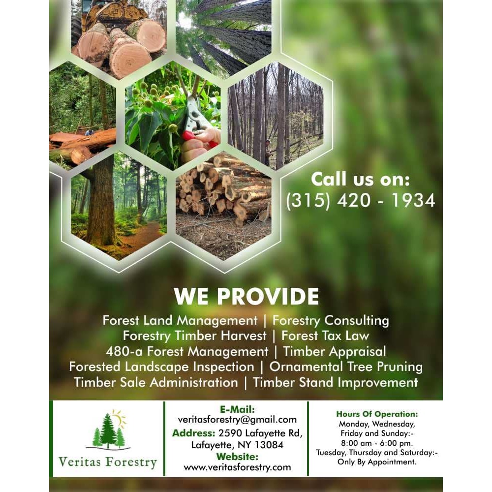 Forestry Timber Harvest Management Companies|Veritas Forestry ,Lafayette - Manlius, NY 13104 - (315)420-1934 | ShowMeLocal.com
